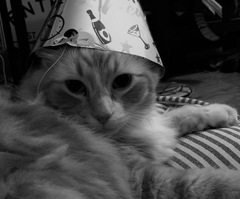 Announcing the 52 Week Photo Challenge